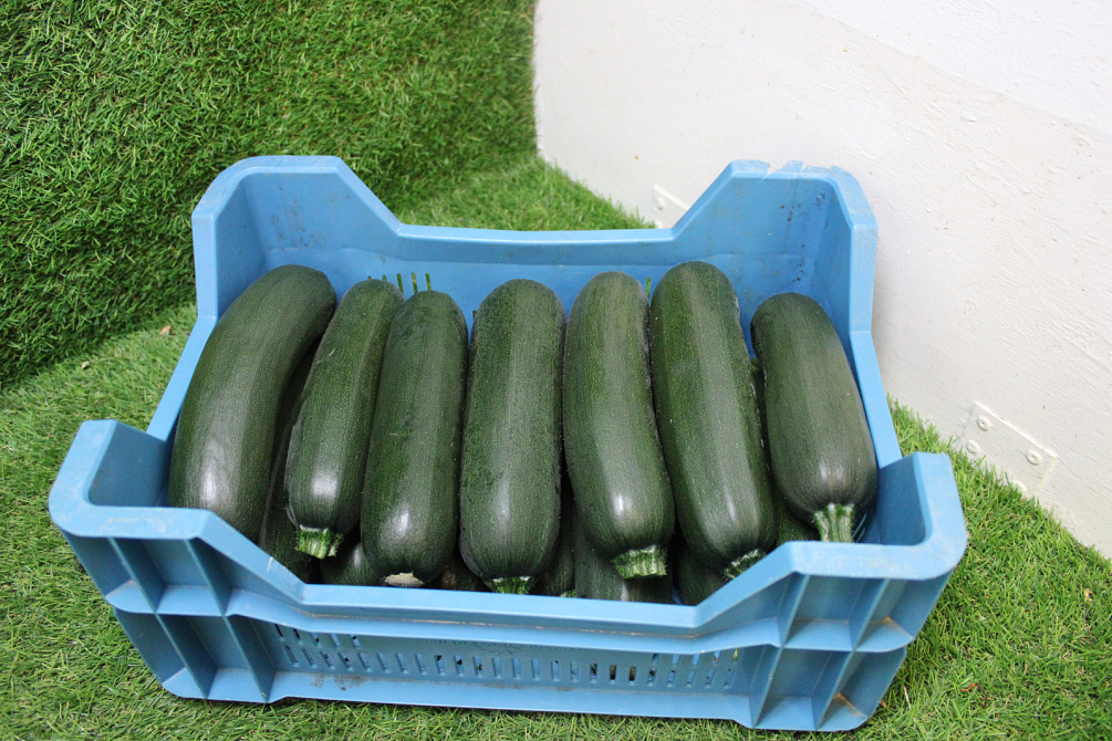 Courgettes Supers