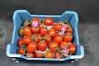 Tomaten Tros Pomo RUBY