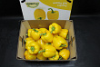 Paprika Geel 95 Supers