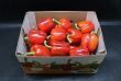 Paprika Rood 95 Supers