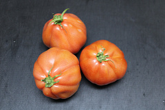 Tomaten Boeven