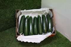 Courgettes Dribling