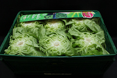 Sla Jumbo 12 st. Fine Fleur