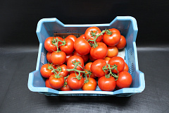 Tomaten Tros