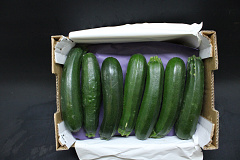 Courgettes klasse II