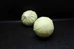 Witte Kool 6 st.