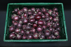 Uien Rood