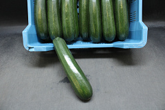 Courgettes Supers - KAS