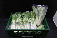 Paksoi Verpakt
