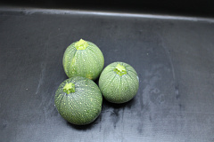 Courgette Rond