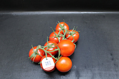 Tomaten Tros Tomabel EPS T