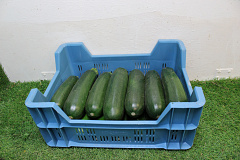 Courgettes Kas / Supers