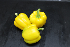 Paprika Geel 95 Supers