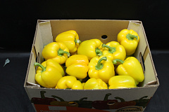 Paprika Geel 95 Supers