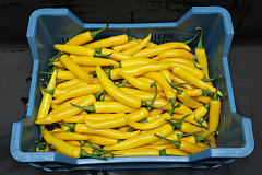 Peper Geel Supers