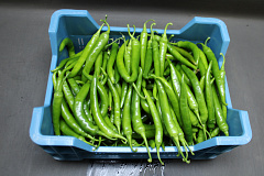 Peper Groen Supers