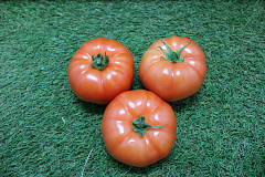Tomaten Vlees Baron BBB