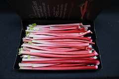 Rabarber Extra Rood Supers