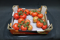 Tomaten Tros Prince