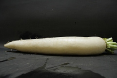Rettich / Daikon