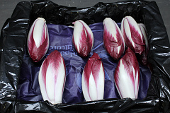 Roodlof Supers