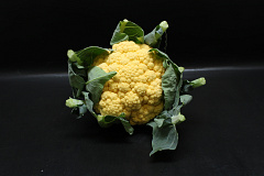 Bloemkool Oranje