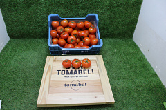 Tomaten B Tomabel