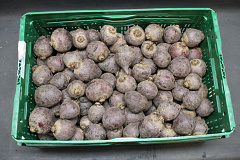 Bieten