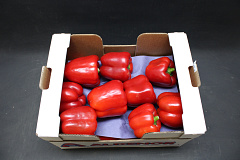 Paprika Rood