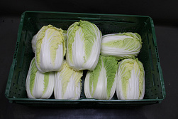 Chinese Kool 10 kg. LOS