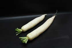Rettich / Daikon 15 st.
