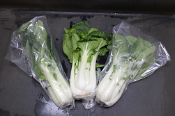 Paksoi Verpakt Blanco Hoes