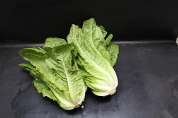 Sla Romeinse I - Extra