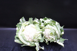 Bloemkool 6 st. - Exclusief