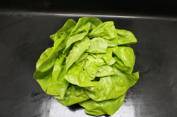 Sla 12 st. Fine Fleur