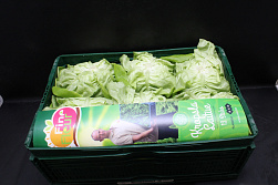 Sla 12 st. Fine Fleur