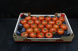 Tomaten Vlees Tomabel BBB