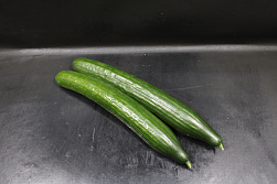 Komkommer 500