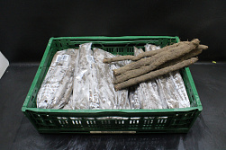 Schorseneren - extra dik