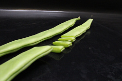 Snijbonen KAS - Plopsaland