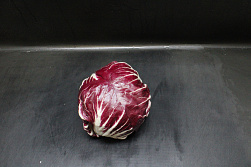Rode sla ( Radicchio )