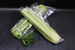 Bleekselderij Kort 12 st.