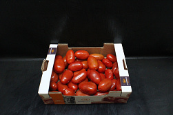 Tomaten San Marzano
