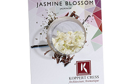 X Jasmine Blossom