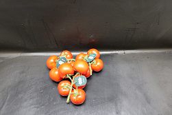 Tomaten Tros Tomabel Exclusief