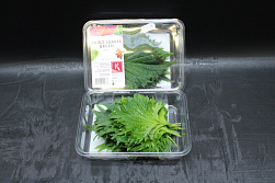 X Shiso® Leaves Green 12x15
