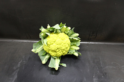 Bloemkool Groen 6st.