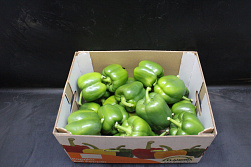 Paprika Groen 95 Supers