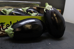 Aubergine Italië 4.5 kg.