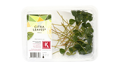 X Citra® Leaves